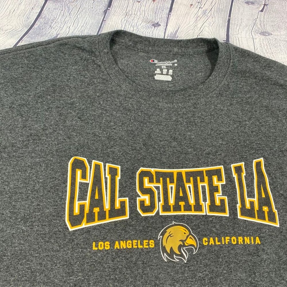 Champion Men's Relaxed Fit Jersey Tshirt Gray Tee - Picture 4 of 8